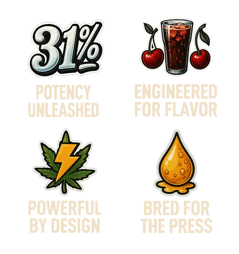 Tech of New Strain Cherry Cola Auto RF3