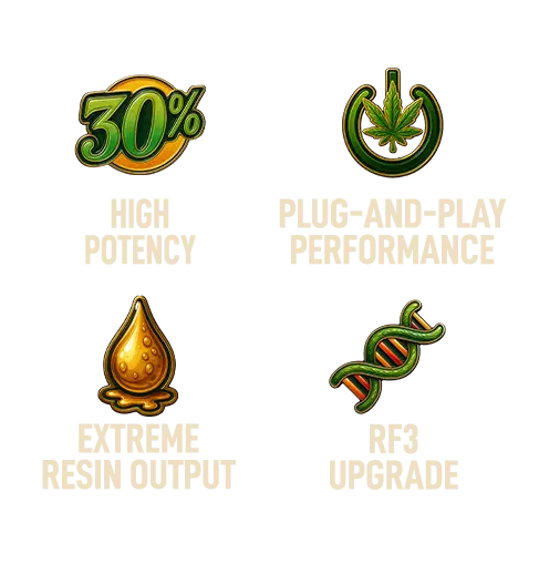 Tech of New Strain Cherry Cola Auto RF3