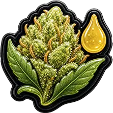 Lemon Tree Auto - Resin Rich