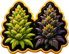 Pineapple OG Auto - Unique Expressions