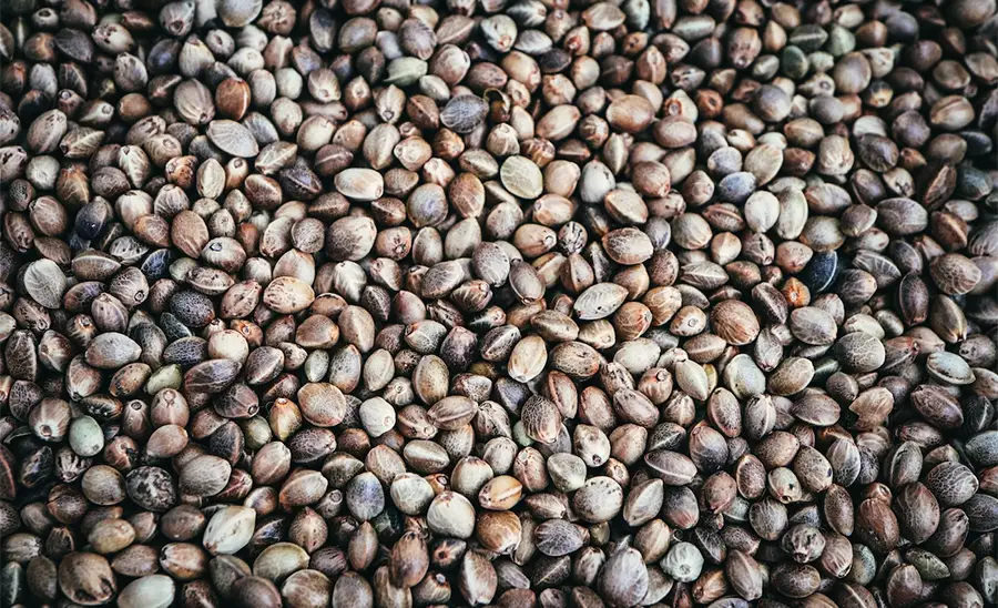 Cover Article MG Magazine