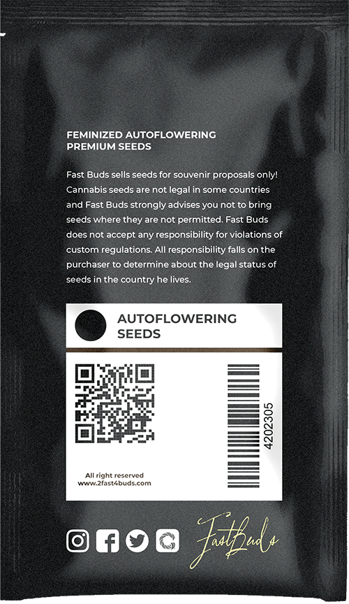 Gorilla Melon™' pack backside