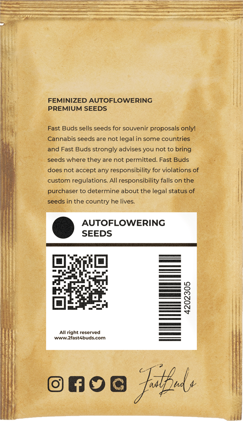OG Kush Auto' pack backside