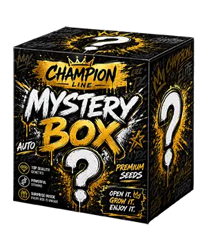Mystery Boxes
