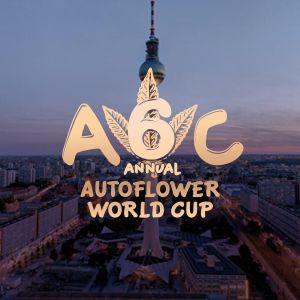 Autoflower Cup