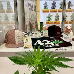 Cultiva Expo & Congress 2018