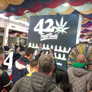 Roma Canapa Mundi 2019