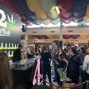 Roma Canapa Mundi 2019