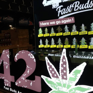 Indicasativa Trade 2019