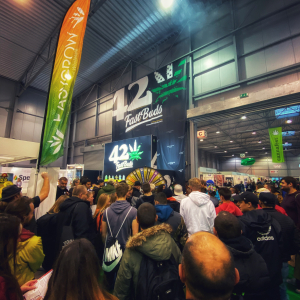 Cannafest 2019