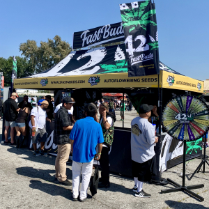 High Times - Socal 2019