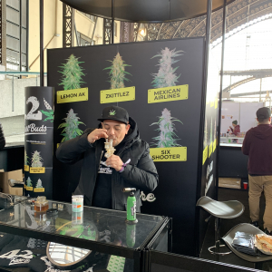 THC Expo