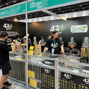 Asia International Hemp Expo