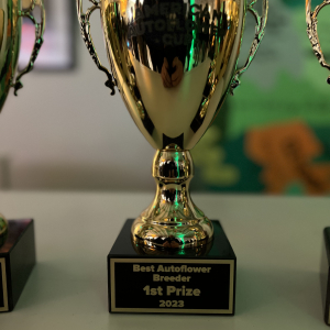 American Autoflower Cup