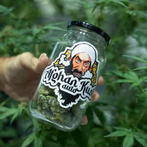 Asia International Hemp Expo & Forum 2023