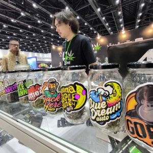 Asia International Hemp Expo & Forum 2023