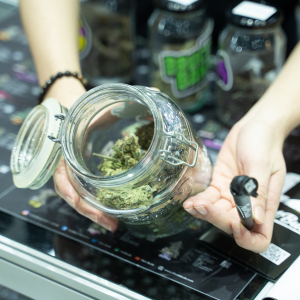 Asia International Hemp Expo & Forum 2023