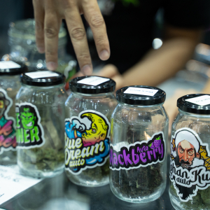 Asia International Hemp Expo & Forum 2023