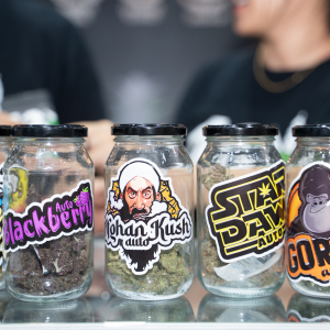 Asia International Hemp Expo & Forum 2023