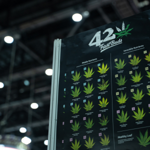 Asia International Hemp Expo & Forum 2023