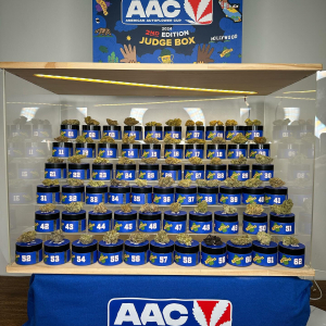 American Autoflower Cup 2024