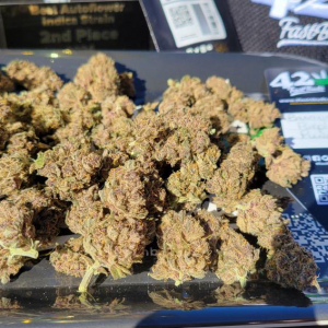 American Autoflower Cup 2024