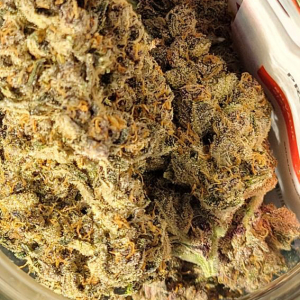 American Autoflower Cup 2024