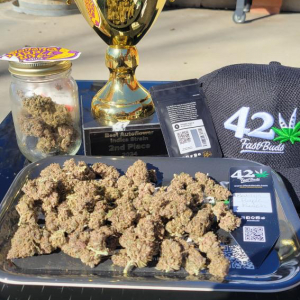 American Autoflower Cup 2024