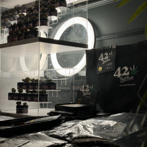 Autoflower World Cup 2024