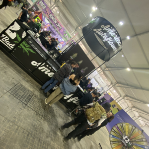 Expo Weed Chile 2023