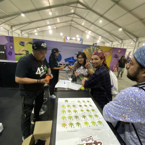 Expo Weed Chile 2023