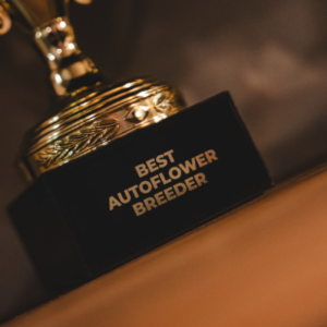 Autoflower World Cup 2025