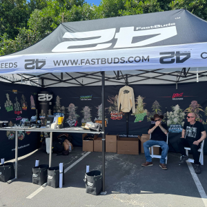 American Autoflower Cup 2025