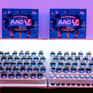 American Autoflower Cup 2025