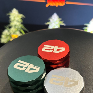 Mary Jane Berlin 2025