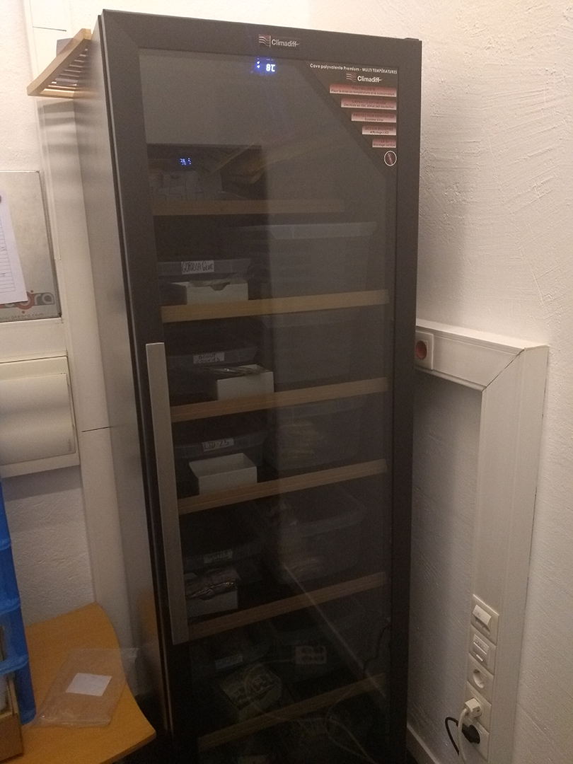 cannabis-seed-fridge.png Cannabis Seed Storage at Fast Buds' HQ