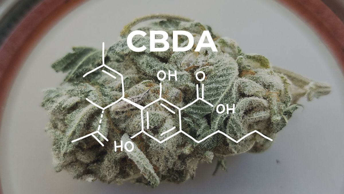 Brewing Cannabis With Hacked Beer Yeast: With genetic modifications CBDA and THCA are obtained.