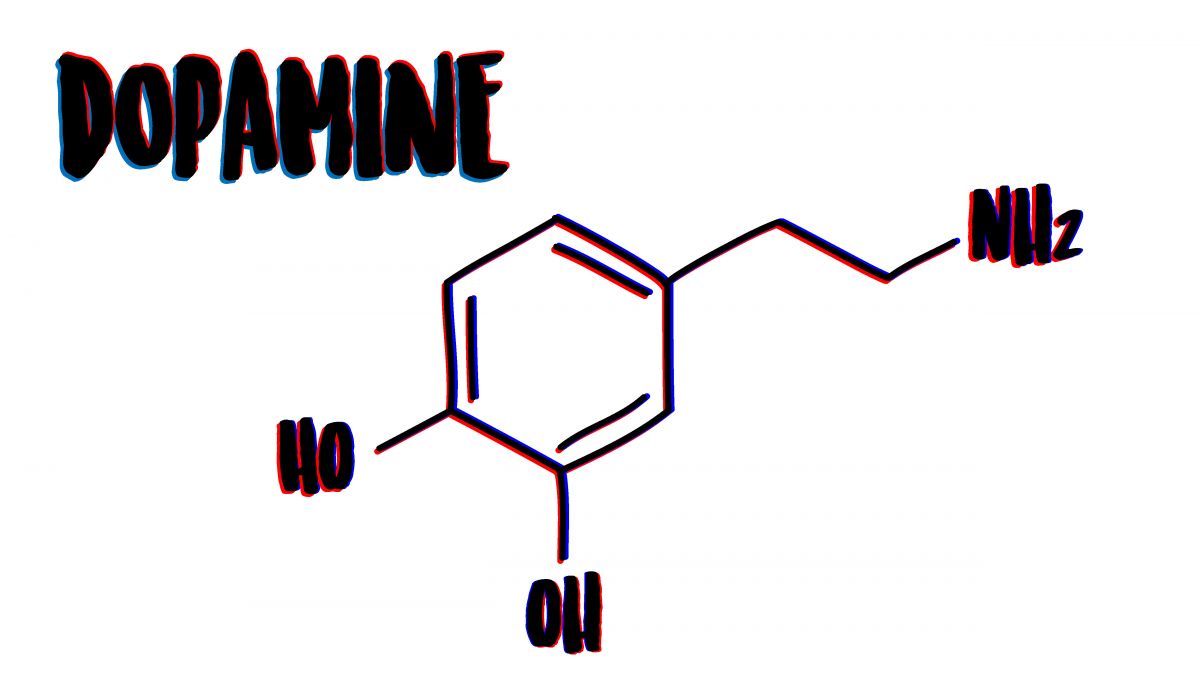 How dopamine affects the brain and addictions