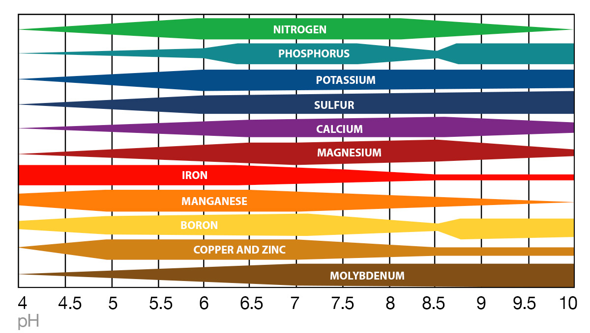 How To Deal With Slow Cannabis Growth: Ph nutrient absorption How To Deal With Slow Cannabis Growth: Ph nutrient absorption