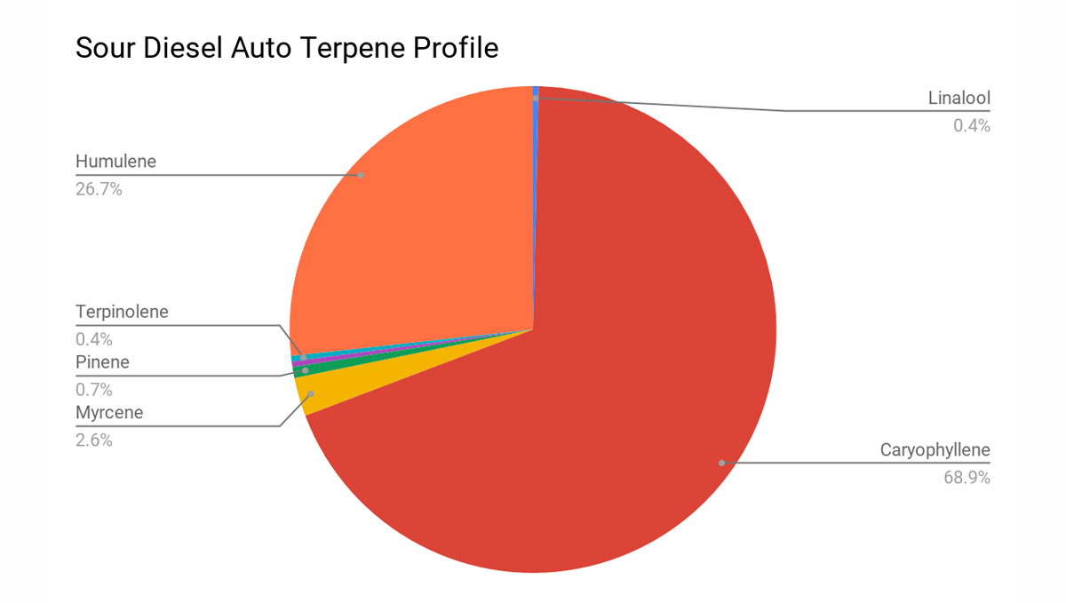 Sour diesel auto guide: sour diesel terpene profile