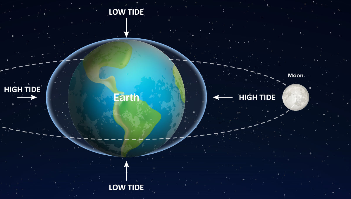 Lunar calendar: tides