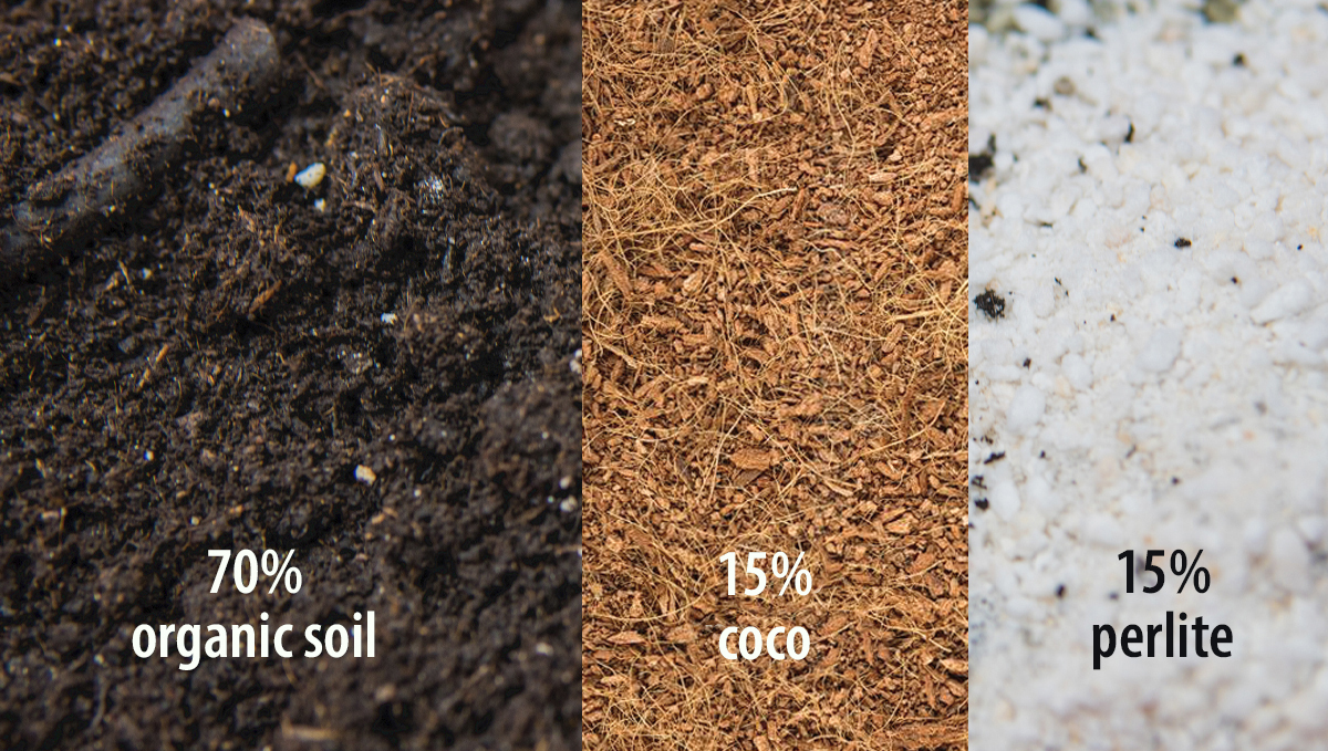 Best organic soil mix for experiences growers