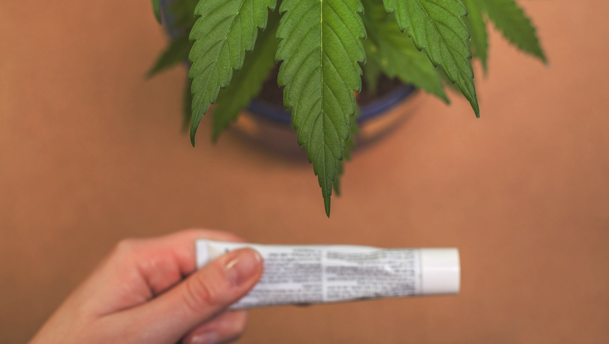 Check the back label to see the CBD content of your topical or transdermal. Check the back label to see the CBD content of your topical or transdermal.