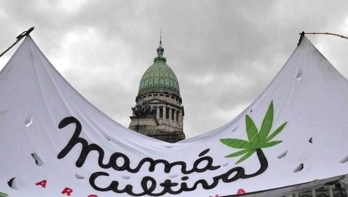 Argentina achieved the legalization of medical cannabis thanks to several manifestations. Argentina achieved the legalization of medical cannabis thanks to several manifestations.