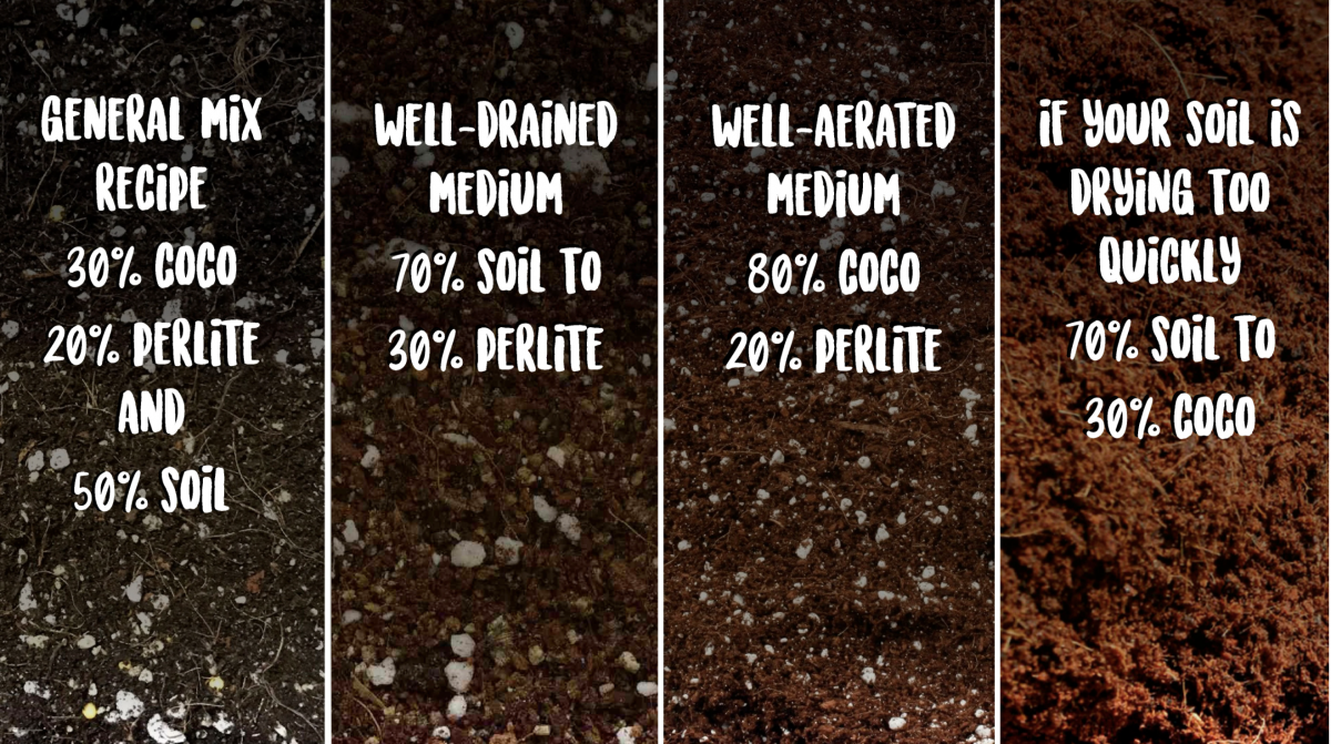 Screenshot 2021-05-04 at 12.57.13.png