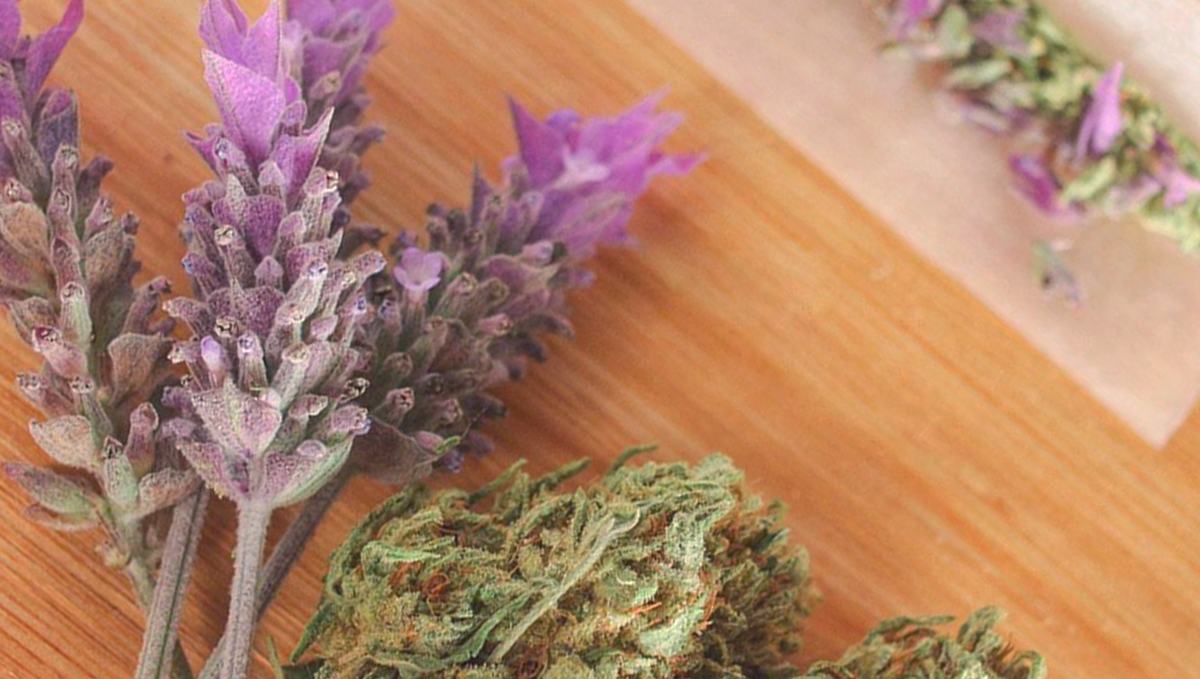 Lavender is rich in linalool terpenes, blend it in your joints for an extra sedative high.