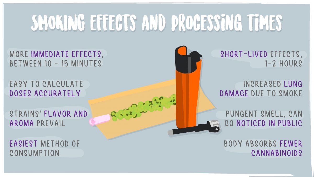 Edibles impact on your brain: smoking cannabis Edibles impact on your brain: smoking cannabis