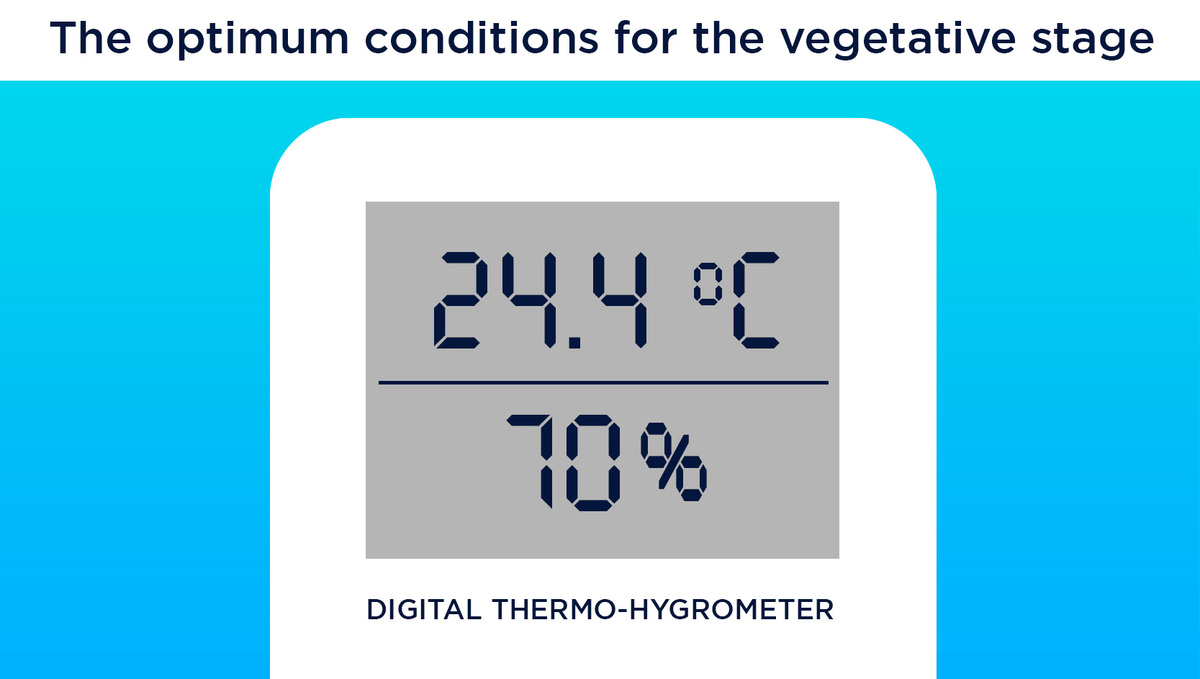 Digital Thermo-Hygrometer