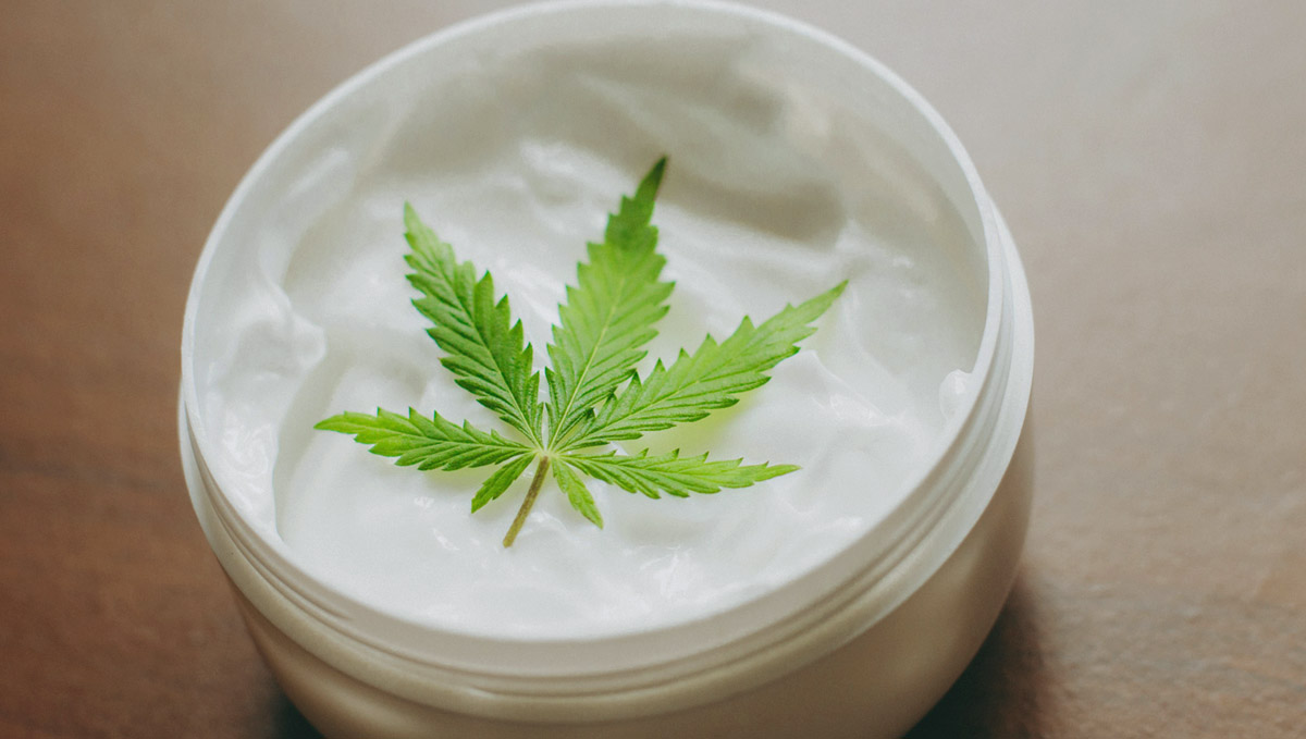 Terpinolene terpenes work effectively as antiseptics. Terpinolene terpenes work effectively as antiseptics.