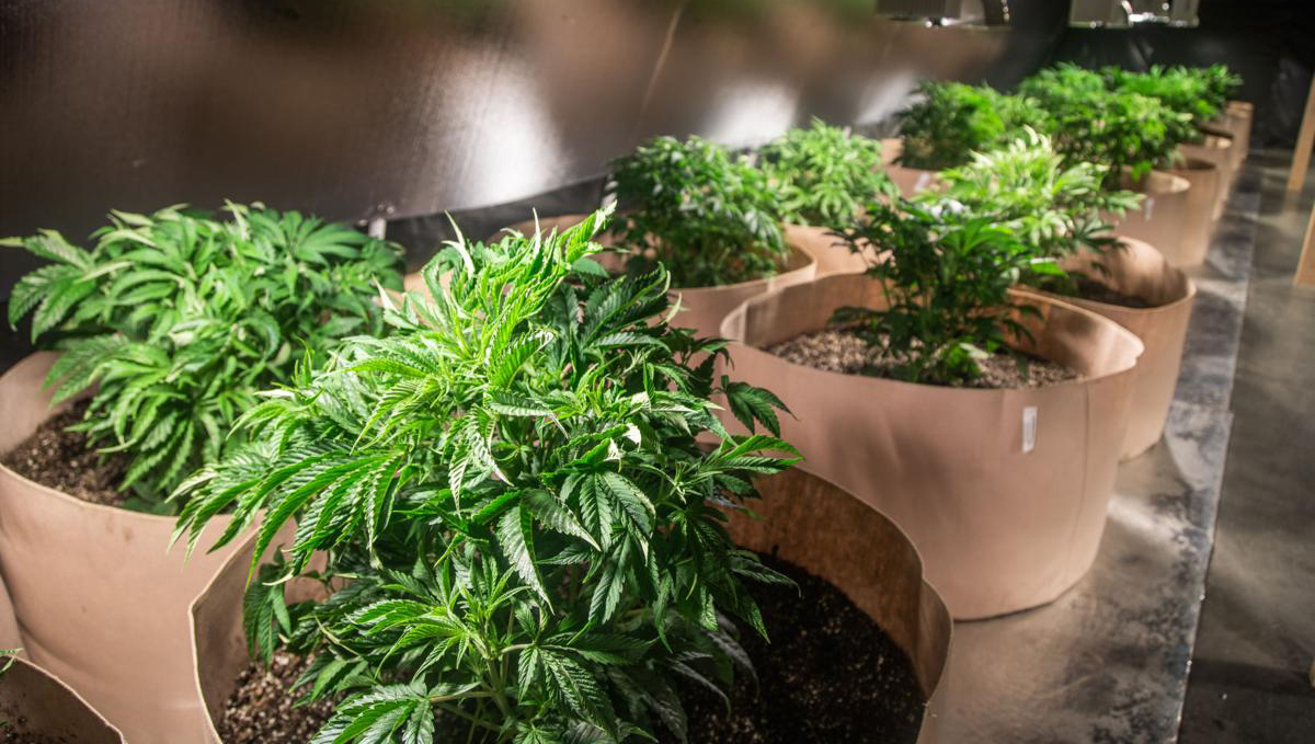 9 time-saving tips: bigger containers